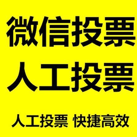 张掖市小程序微信拉票通过什么方式操作有哪些方法操作？